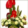 Awesome Beauty - Click here to View more details about this Product